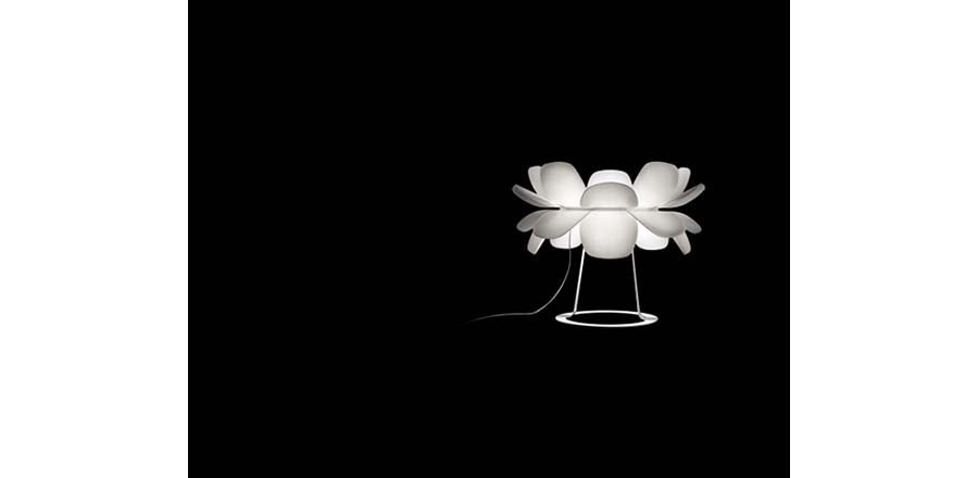 F(xin)(jng)|_|kҾ|InfioreF(xin)_ CGT1111