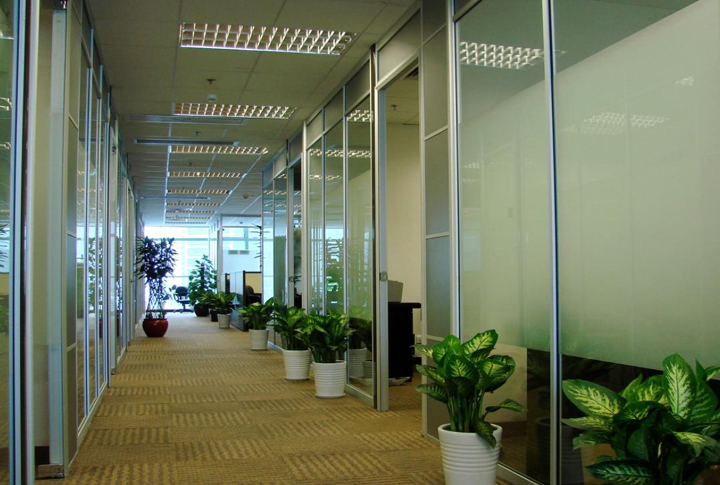 40款單玻高隔斷工程案例